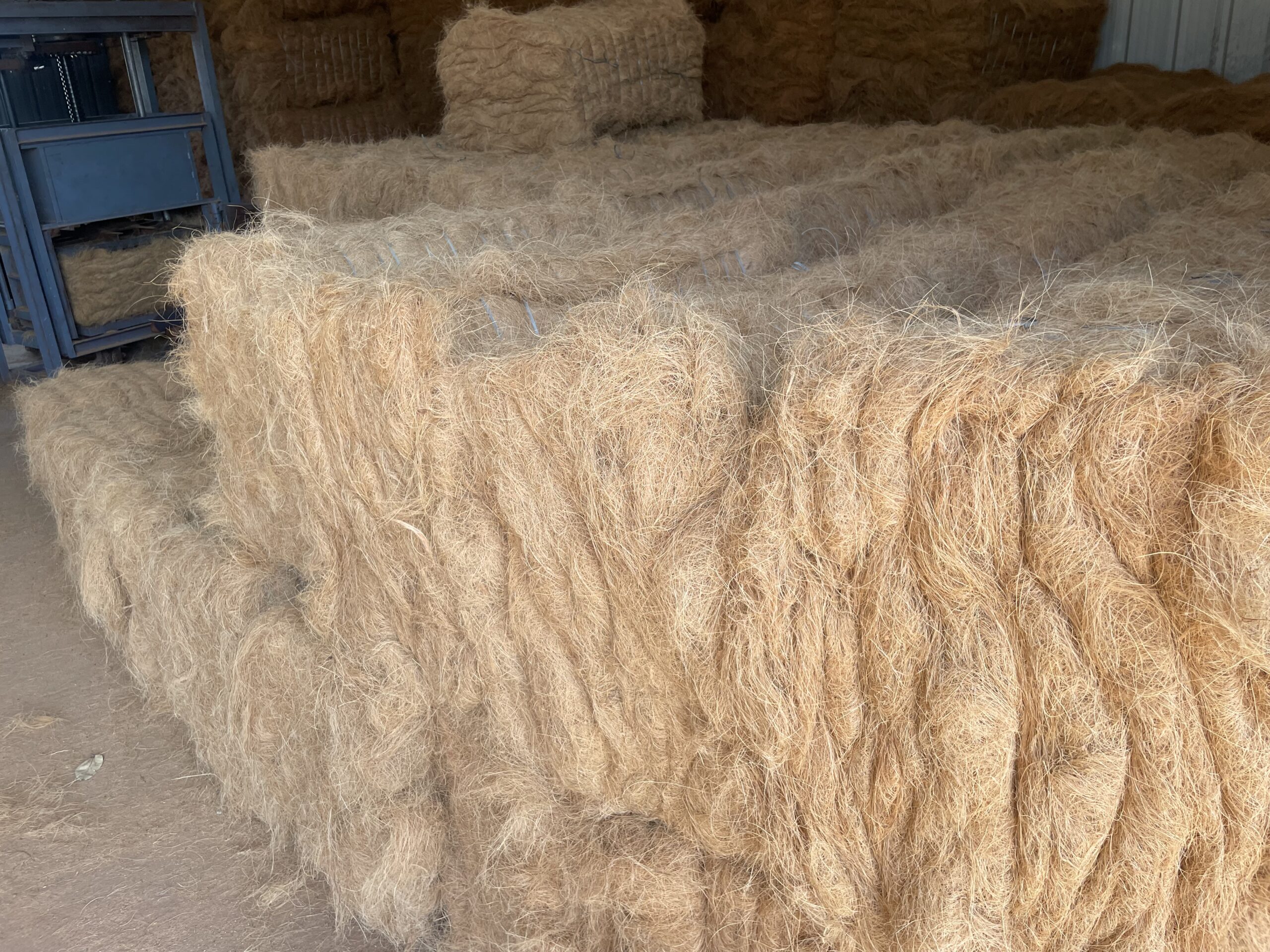 Coir Fiber: The Eco-Friendly Marvel